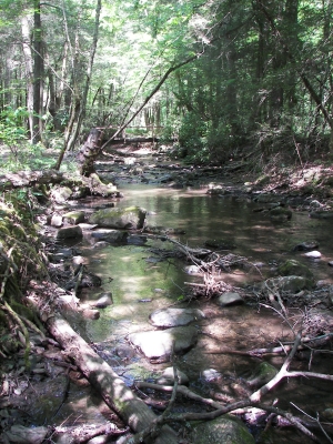  Great Smoky Mtn National Park